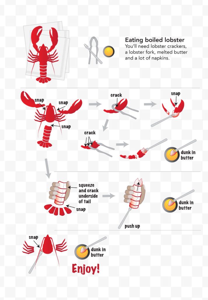Lobster 101-Discover-Gloucester, MA